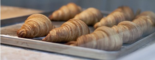 Tray of freshly baked croissants