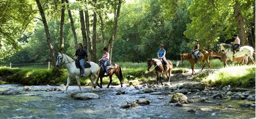 A group of five horses and riders crossing a shallow river in woodland