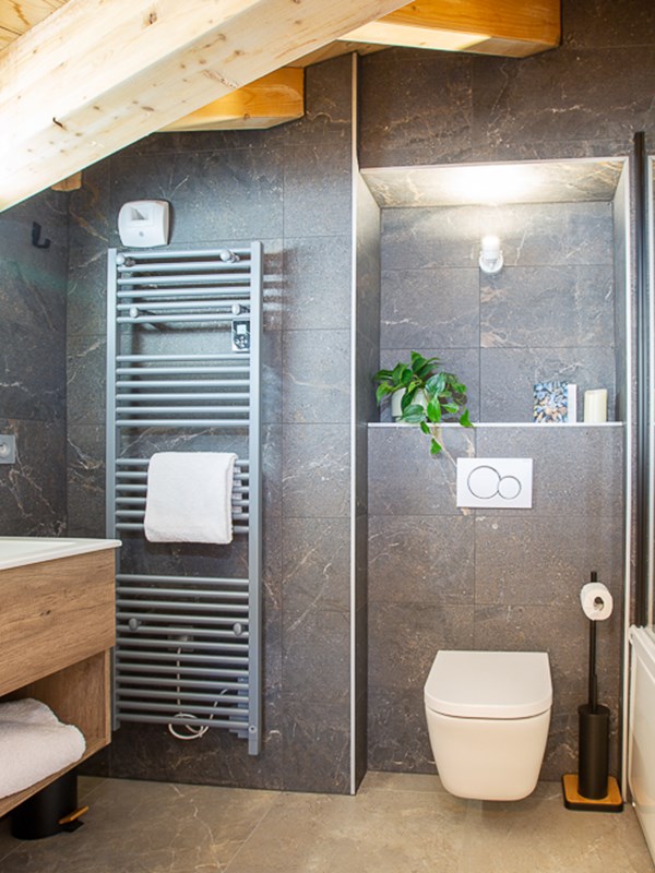 Le Cerf Penthouse Morzine 00013