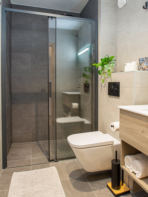 Le Cerf Penthouse Morzine 00019