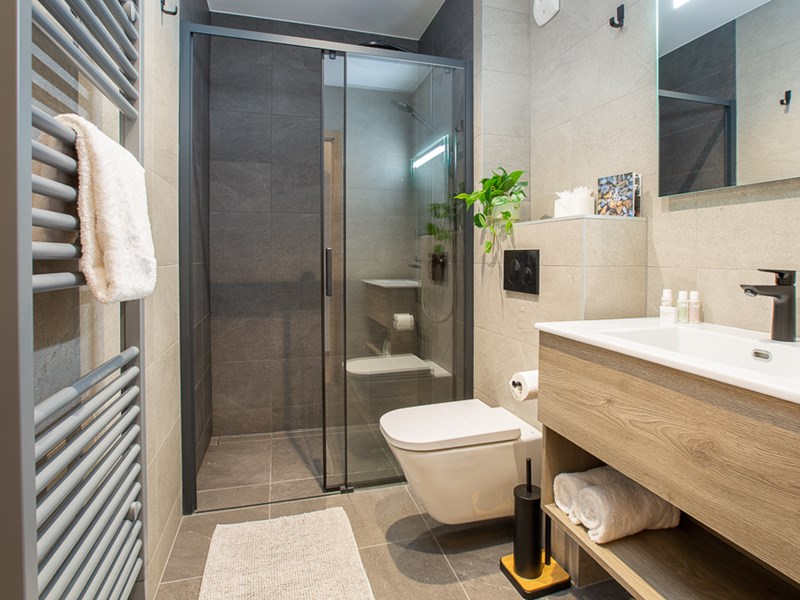 Le Cerf Penthouse Morzine 00019