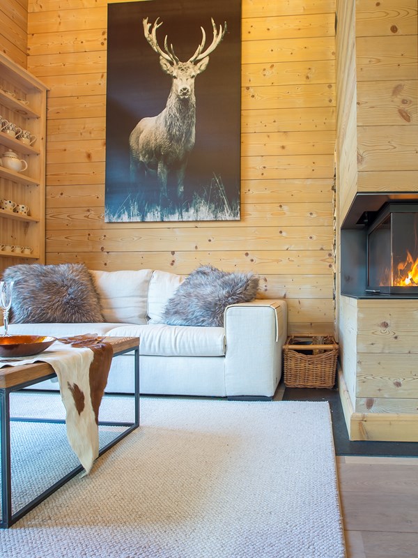 Apartment Telecabine Morzine 16