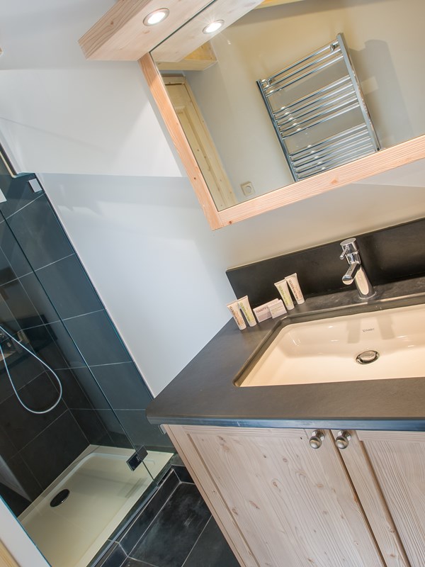 Apartment Telecabine Morzine 5