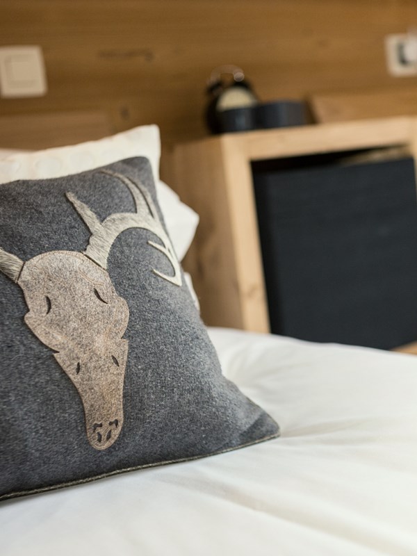 Apartment Waterside Morzine 15