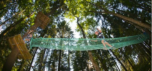 A child crossing a net bridge between two trees