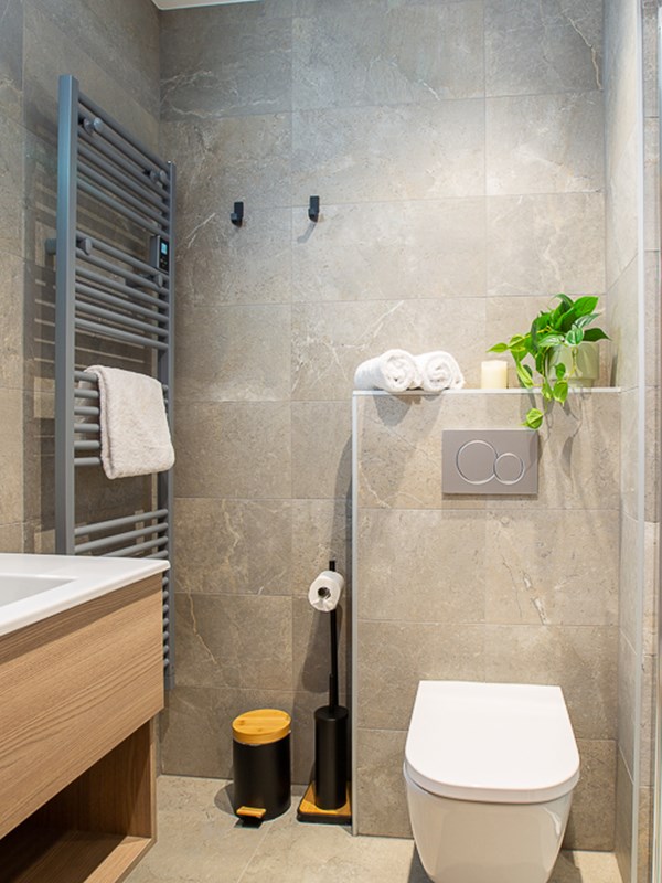 Le Cerf Penthouse Morzine 00025