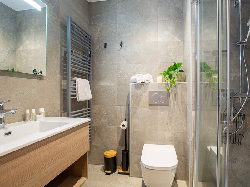 Le Cerf Penthouse Morzine 00025