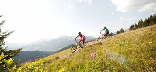 Two mountain bikers riding down a grassy slope with mountains in the background